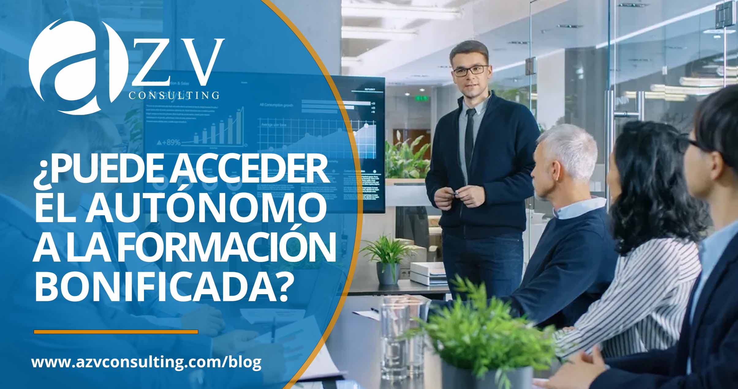azv consulting