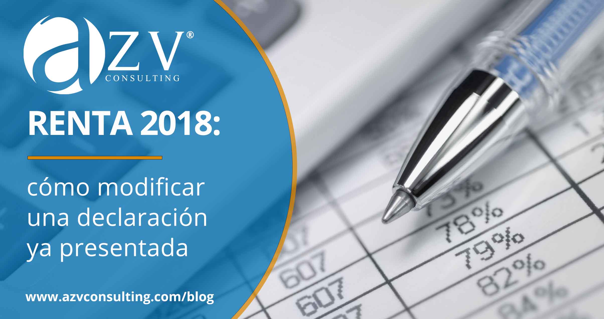 azv consulting