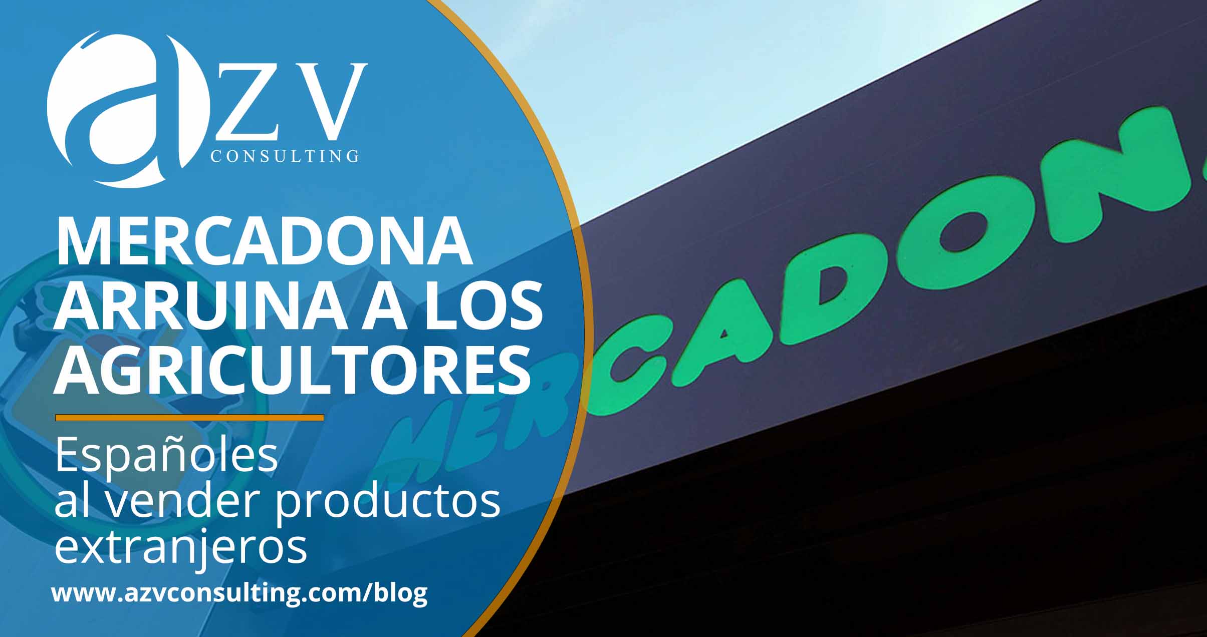 AZV Consulting
