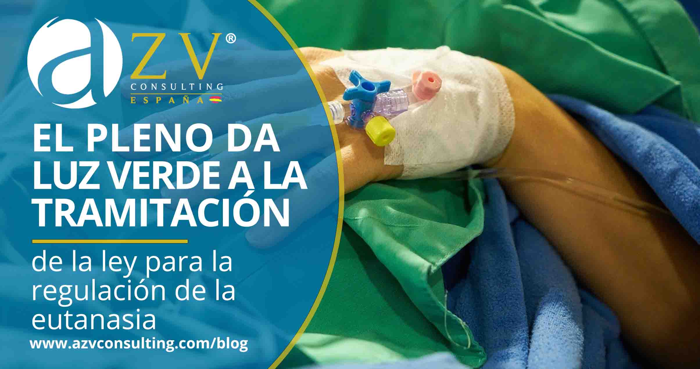 AZV Consulting